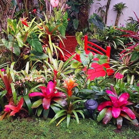 Anthurium Hale Hilo Exterior foto