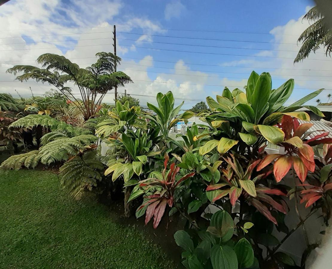 Anthurium Hale Hilo Exterior foto