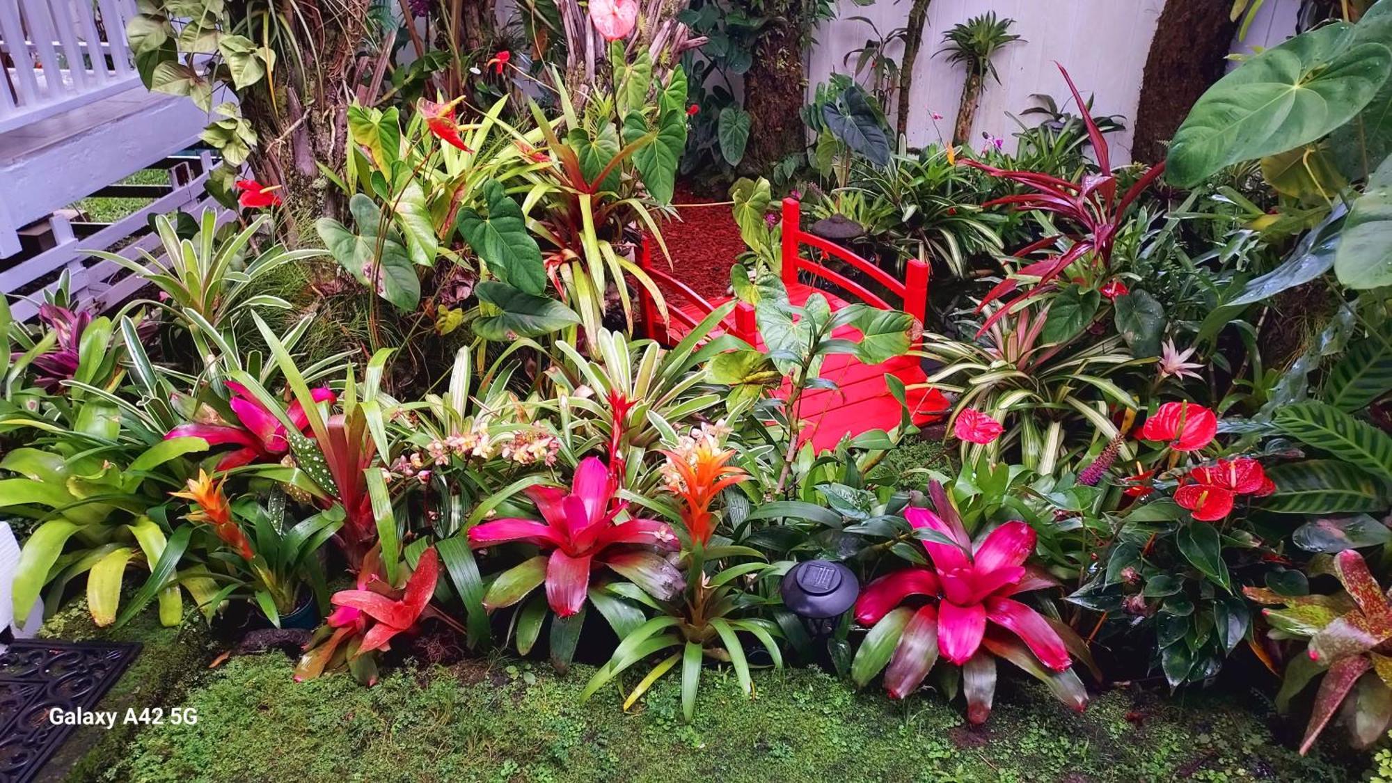 Anthurium Hale Hilo Exterior foto